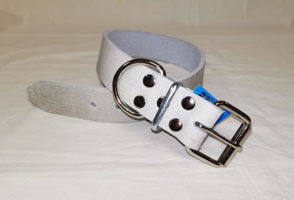 Single-row dog collar (strap) - Chrome